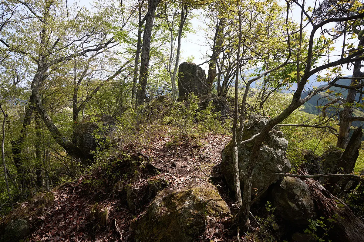 蓑堂山登山 尾根を先へ進む