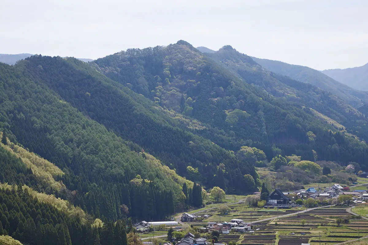 蓑堂山登山 向こうに見えるのは米子山とよしの山