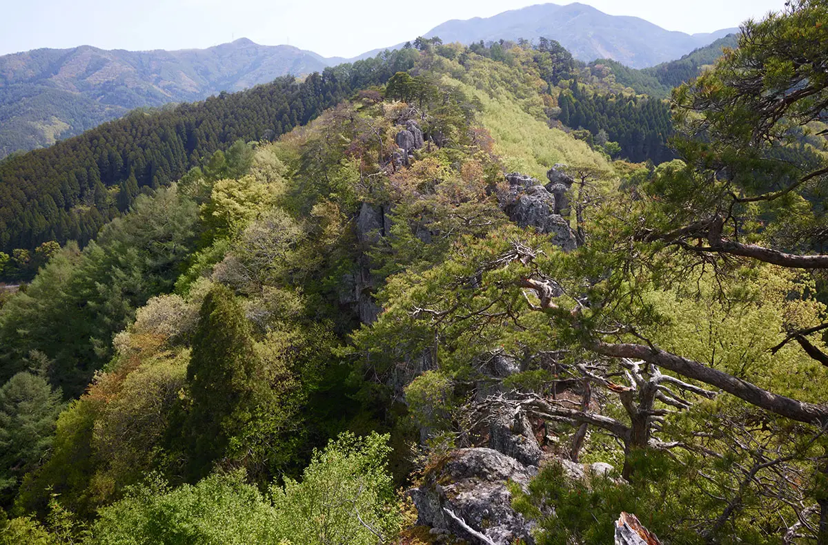 蓑堂山登山 いきなり道が切れて目の前に岩崖が続く