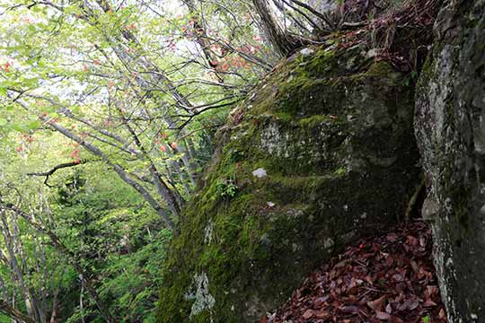 蓑堂山 みのどうトンネル