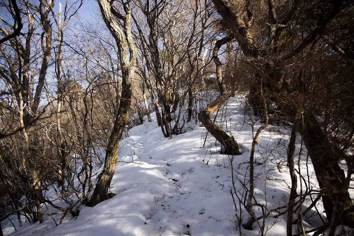 【三才山登山】三才山-日影には雪が多い