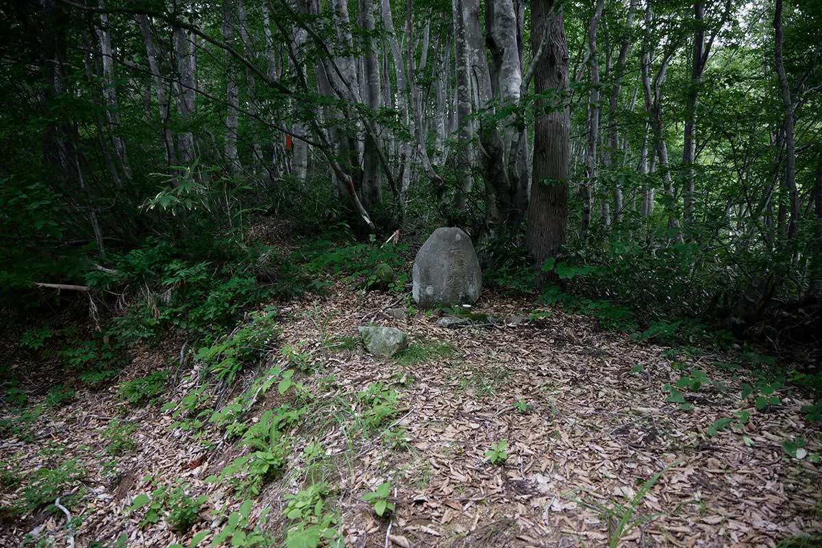 毛無山登山 大山祇神のほうへ行く