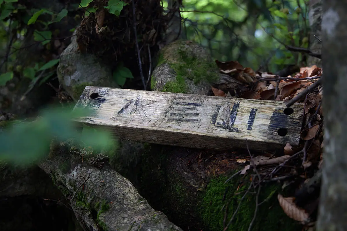 毛無山登山 山頂標があった