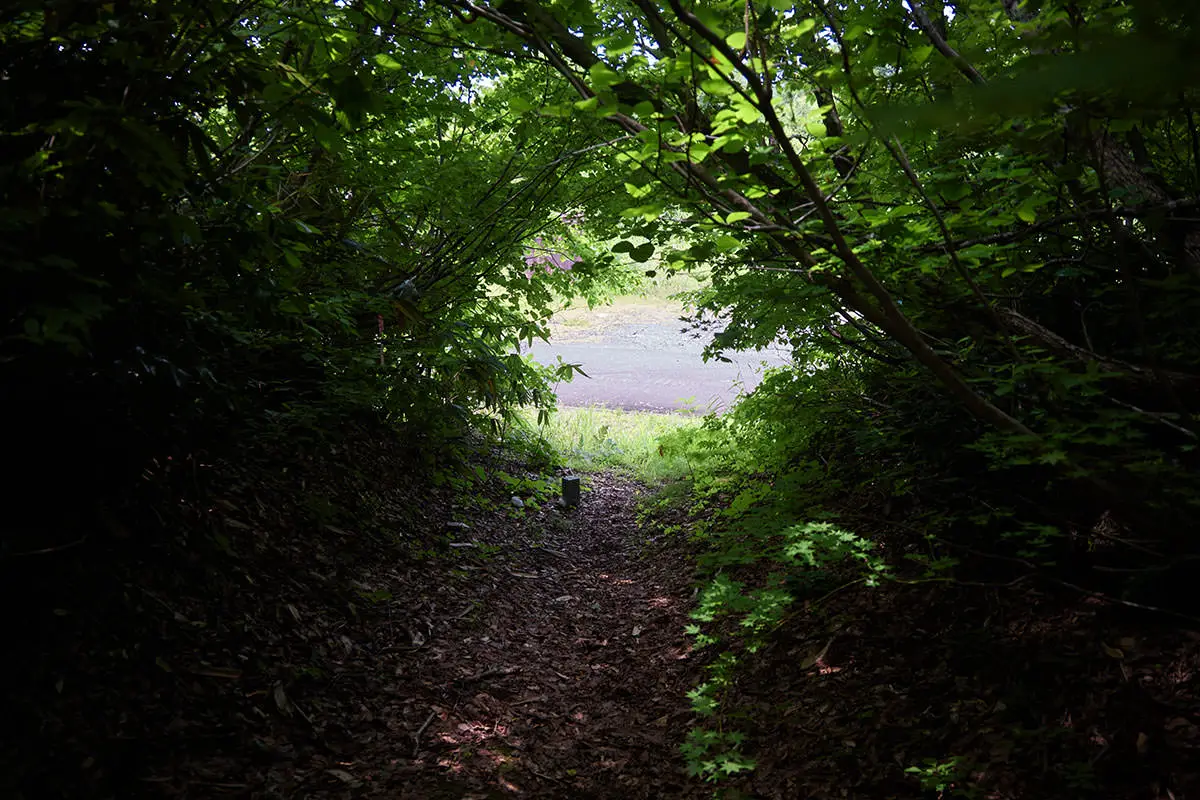 毛無山登山 アブが飛ぶ道路まで戻ってきた