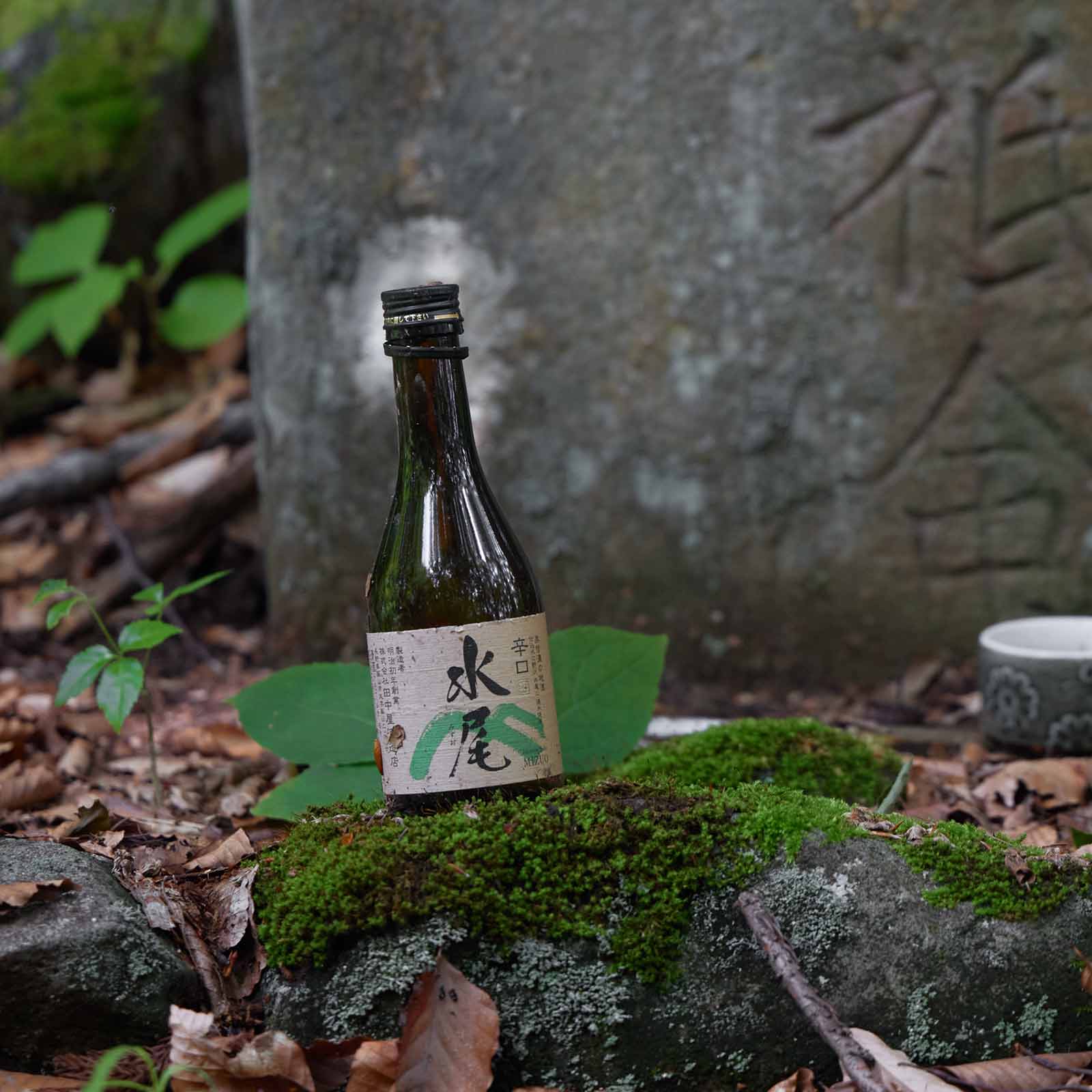 水尾山 （7月）｜地酒の名に謳われた山
