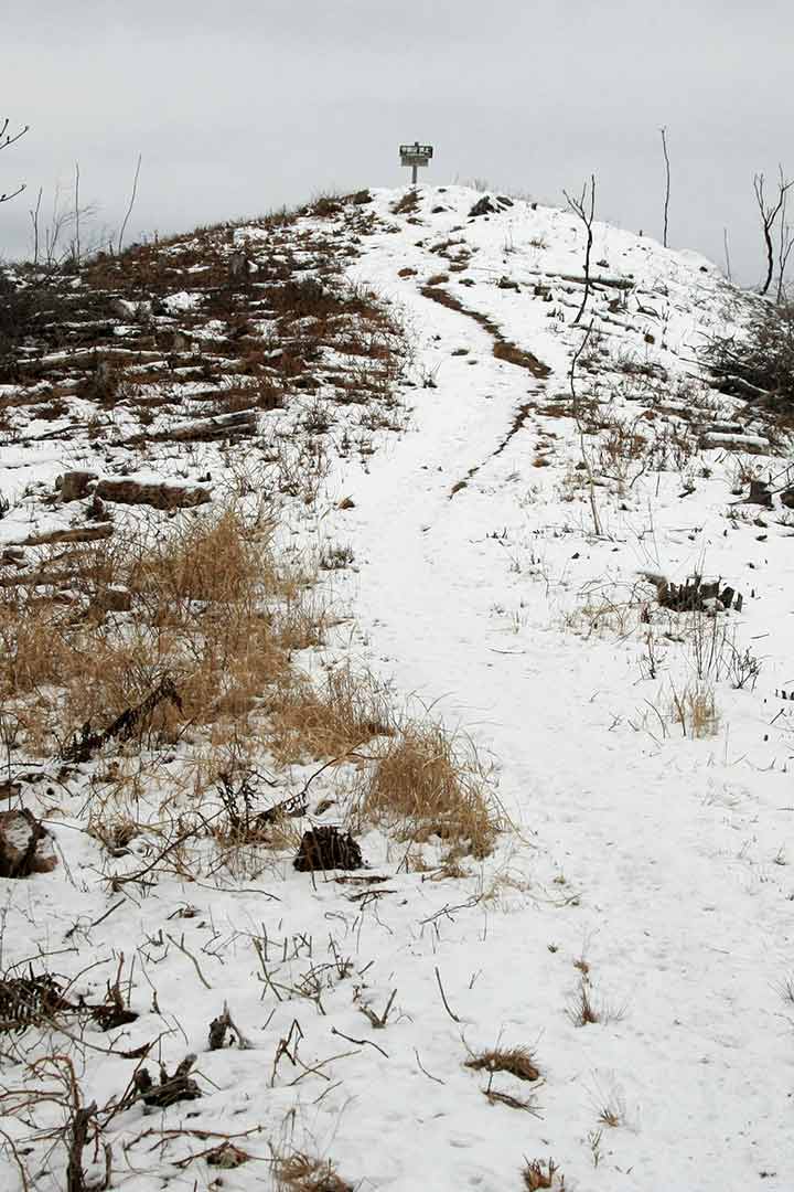 守屋山　登山（ザゼンソウコース） （12月）｜南アルプスと八ヶ岳を眺めに