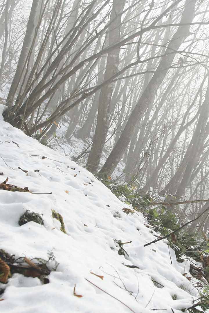 虫倉山　冬季登山（不動滝コース） （12月）｜ゆっくりと登る冬の虫倉山