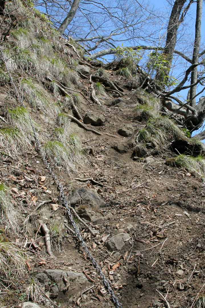 虫倉山（さるすべりルート） （4月）｜まさかの急登と思いがけず続く鎖場と岩場