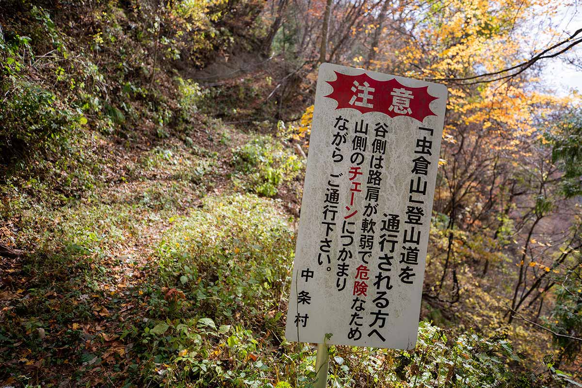 虫倉山登山 出た