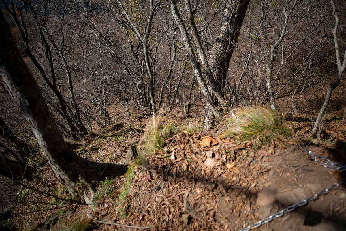 虫倉山登山 登ってきたところだけど見下ろすと高い