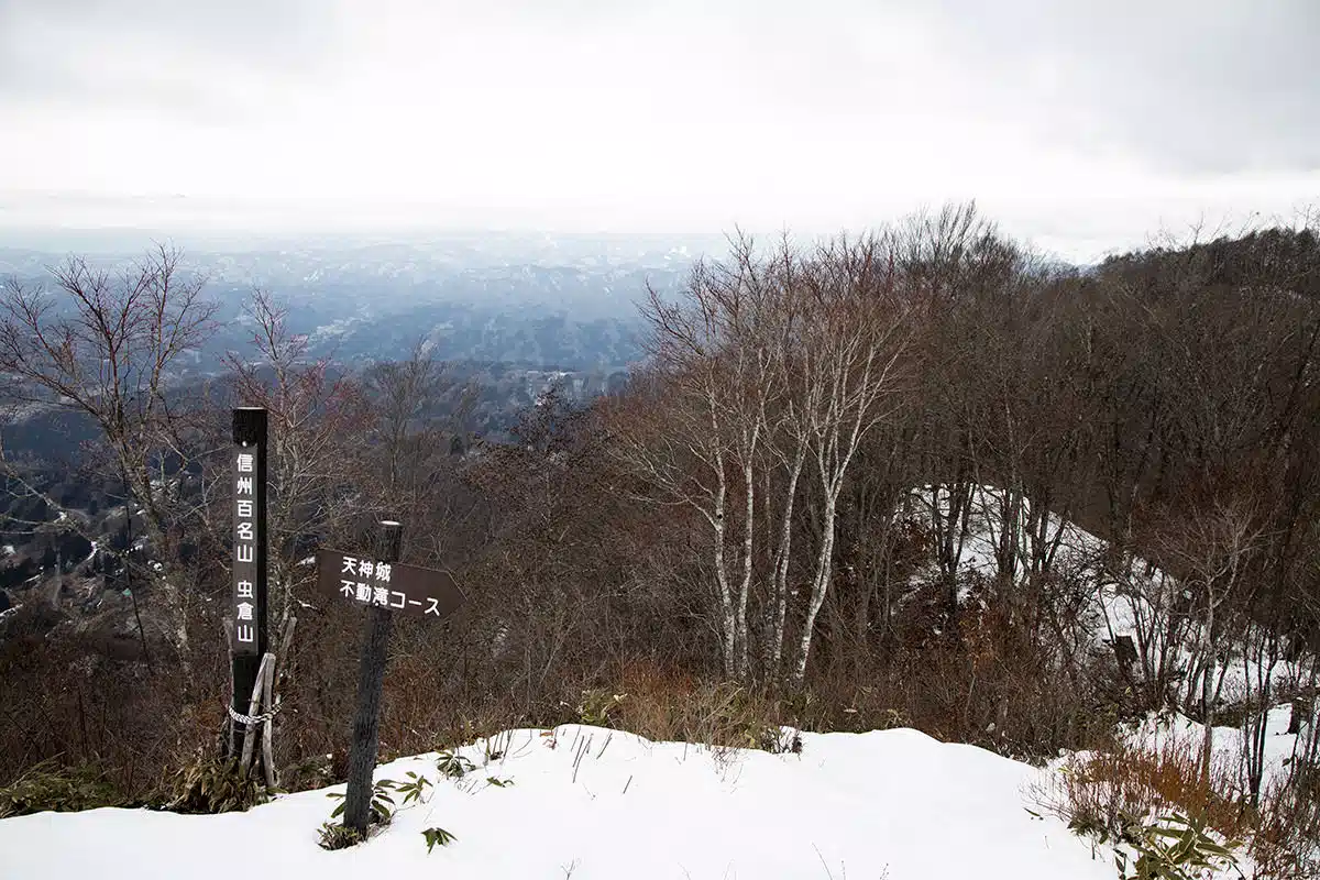 【虫倉山登山】虫倉山-不動滝コースと山頂で合流