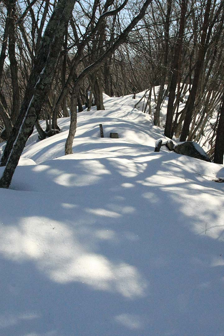 明覚山 登山（天徳寺登山口） （3月）｜雪景色の街を見下ろす坂田山からの縦走