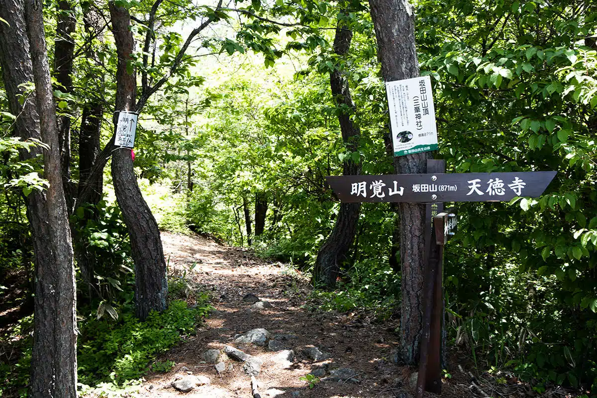 【明覚山登山】明覚山-ここから明覚山へ