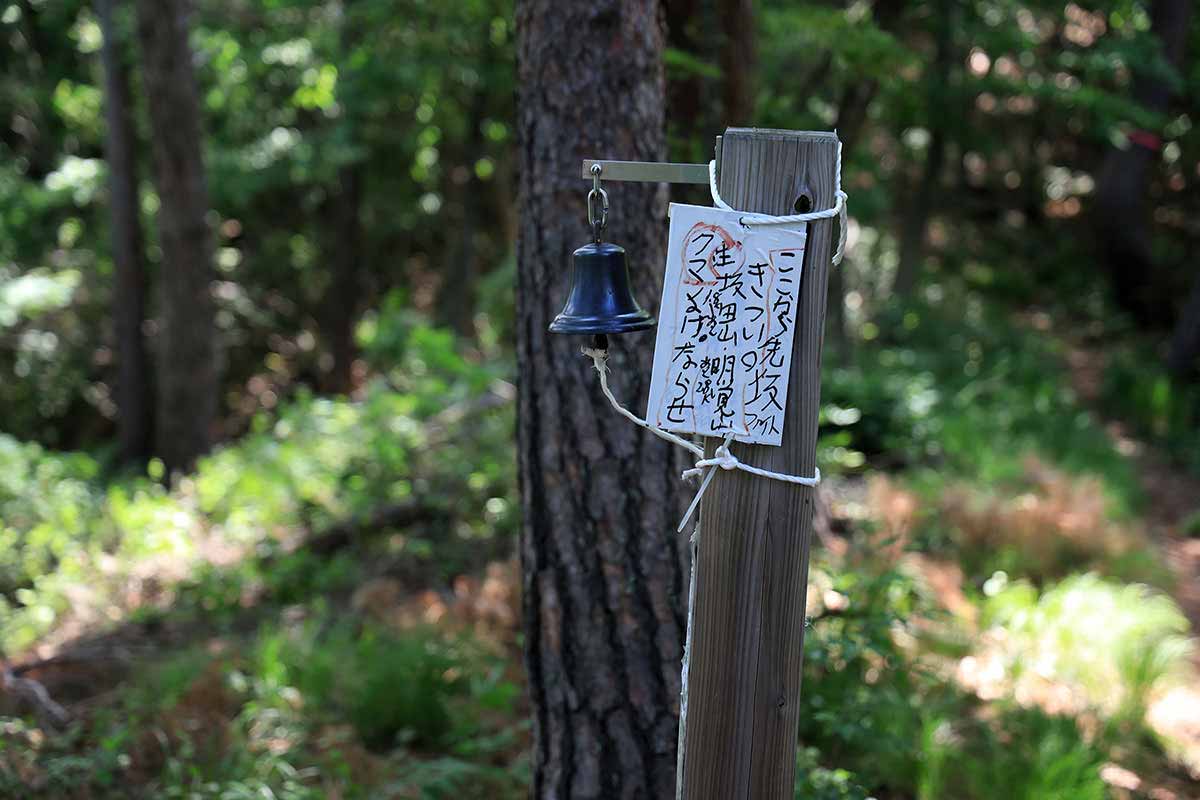 明覚山登山 キツいって書いてあるし