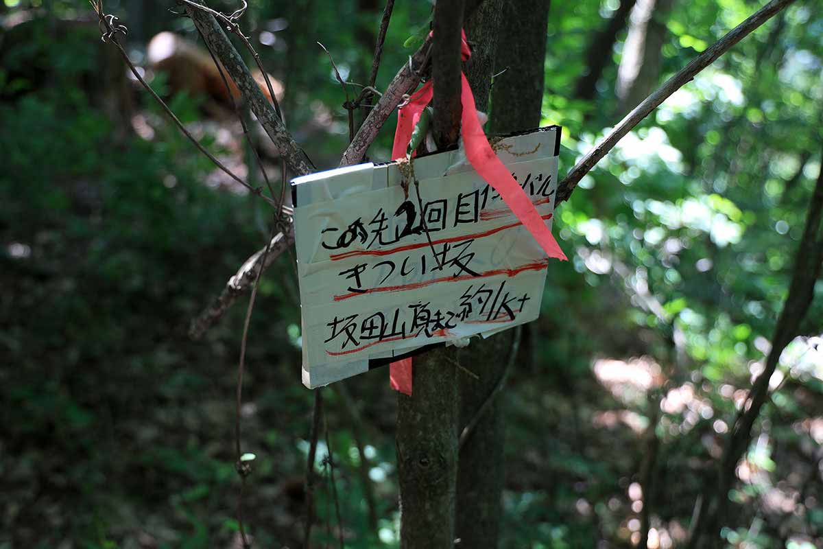 明覚山登山 またキツいって・・・