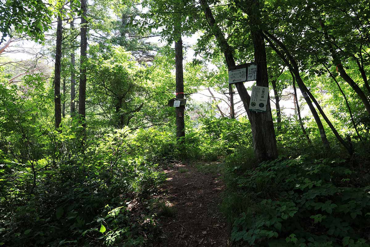 明覚山登山 またひとつ越えるのか・・・