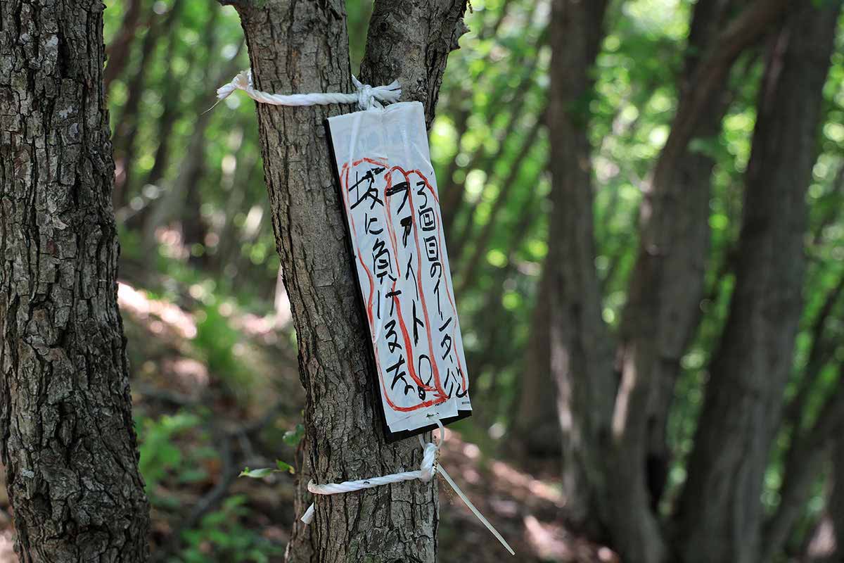明覚山登山 まだキツいって・・・