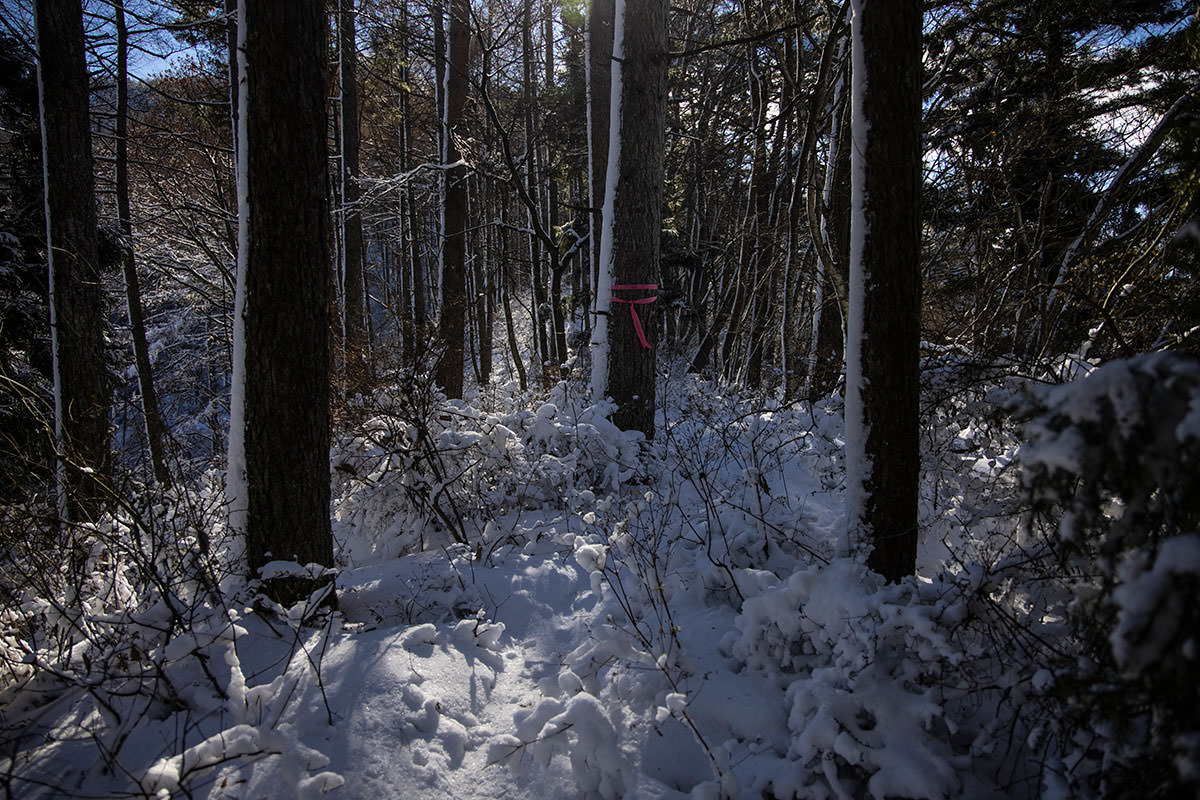妙徳山-登っていく尾根の雪が深くなってきた