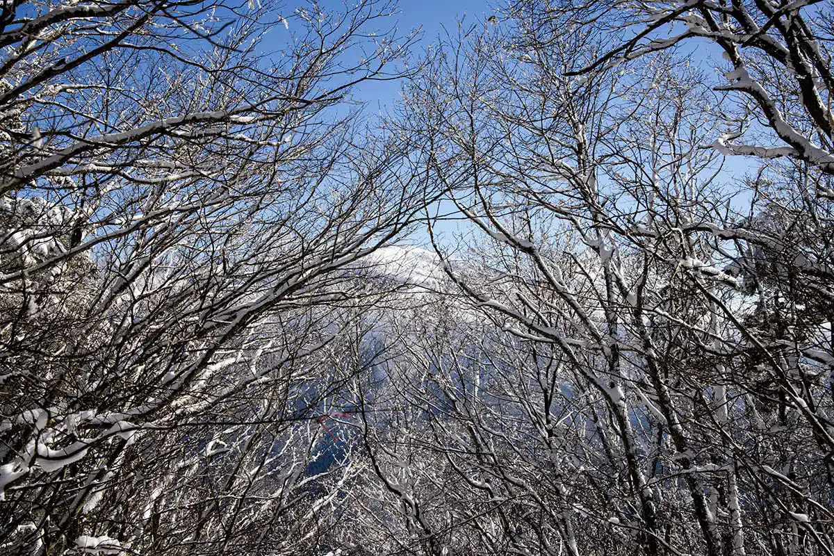 妙徳山登山 妙徳山-東側には四阿山がチラッと見える