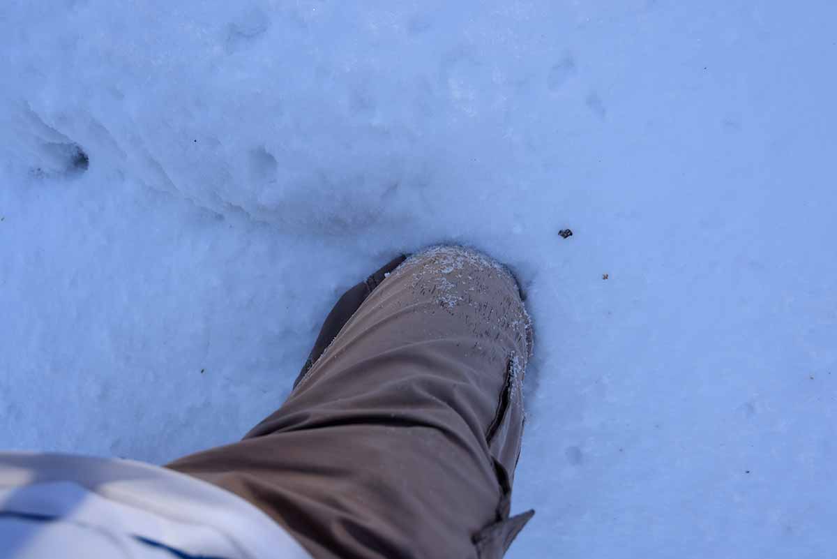 妙徳山登山 雪が増えた