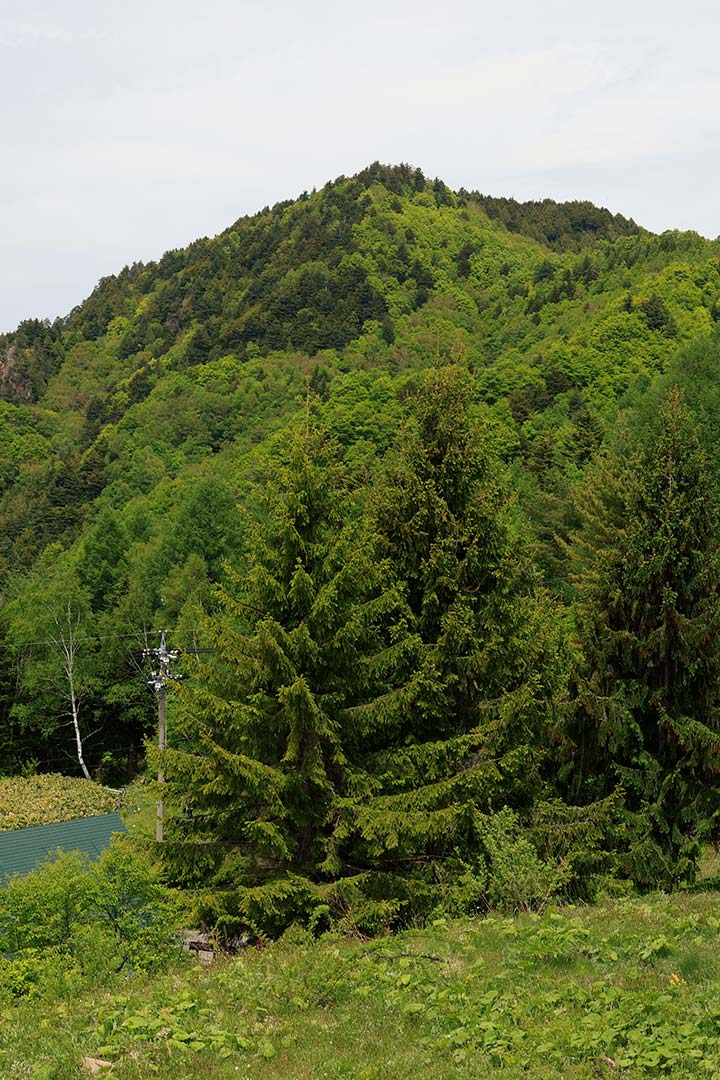 中倉山