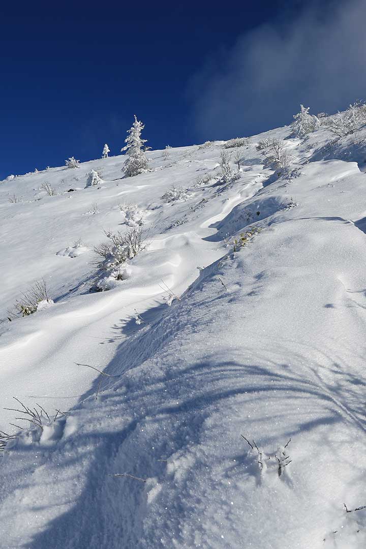 雪の根子岳登山 （12月）｜雪の積もり始めた登山道を登る