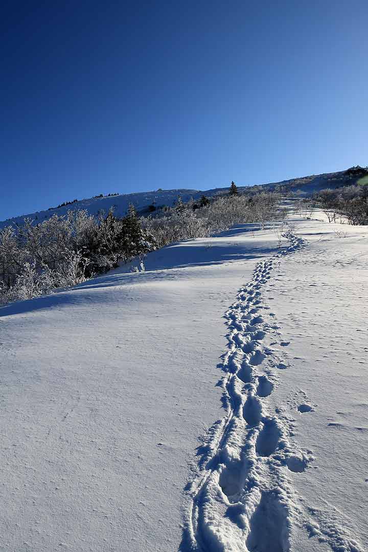 根子岳冬季登山 （3月）｜柔らかな雪の登山道を歩く