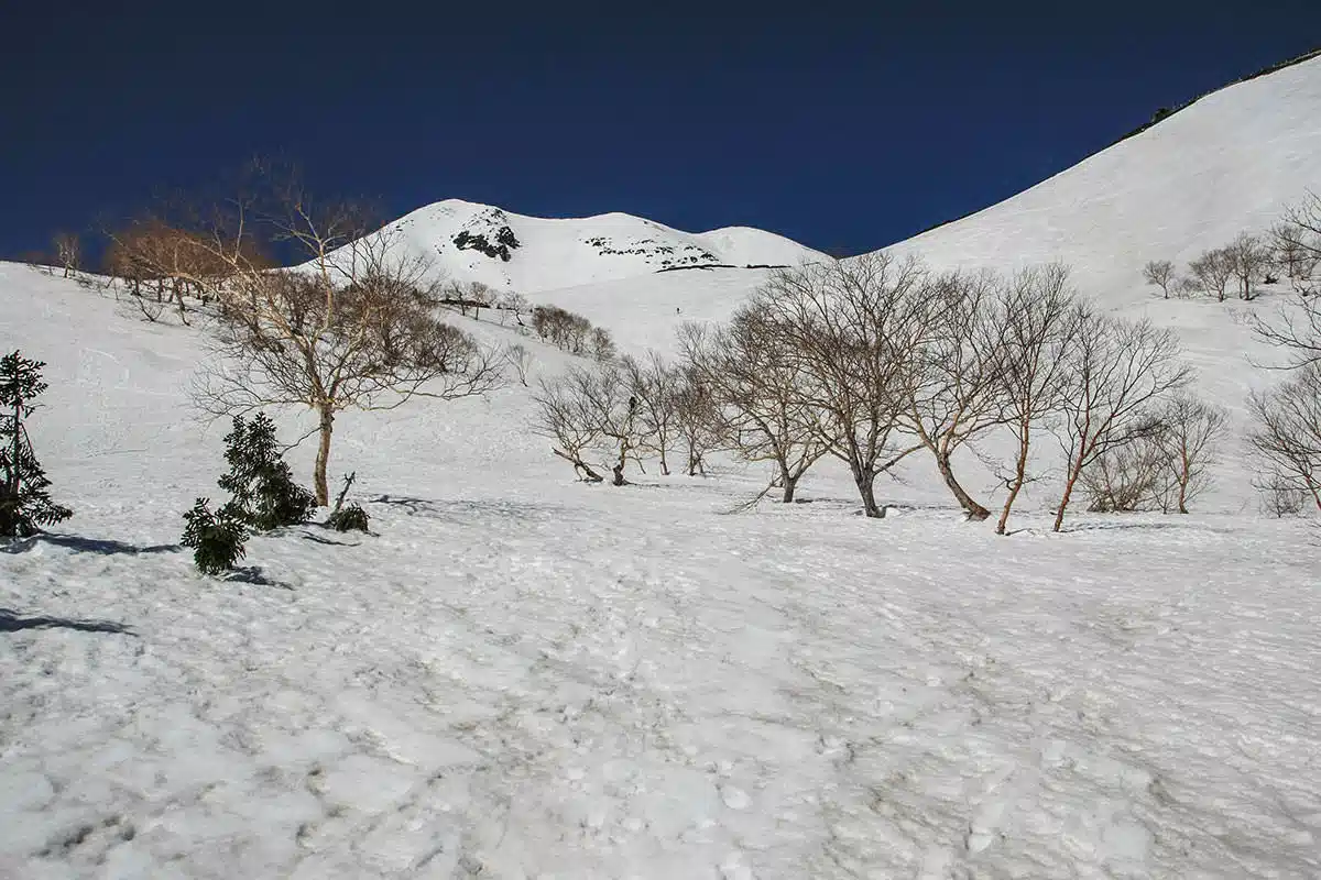 乗鞍岳登山 乗鞍岳-ざくざくの雪
