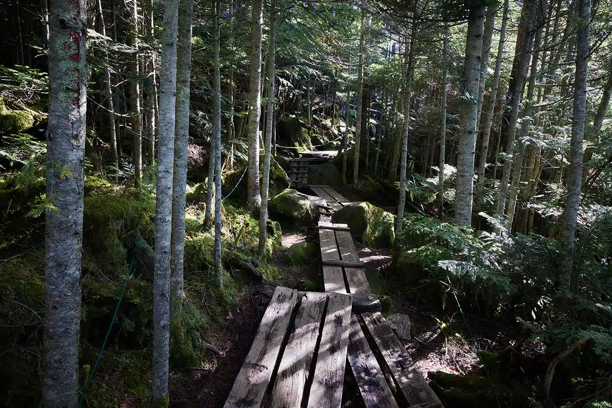 にゅう登山 にゅう-青苔荘からしばらく木道を歩く
