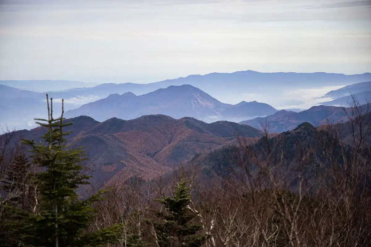【老ノ倉山登山】老ノ倉山-高社山と新潟県境の山々