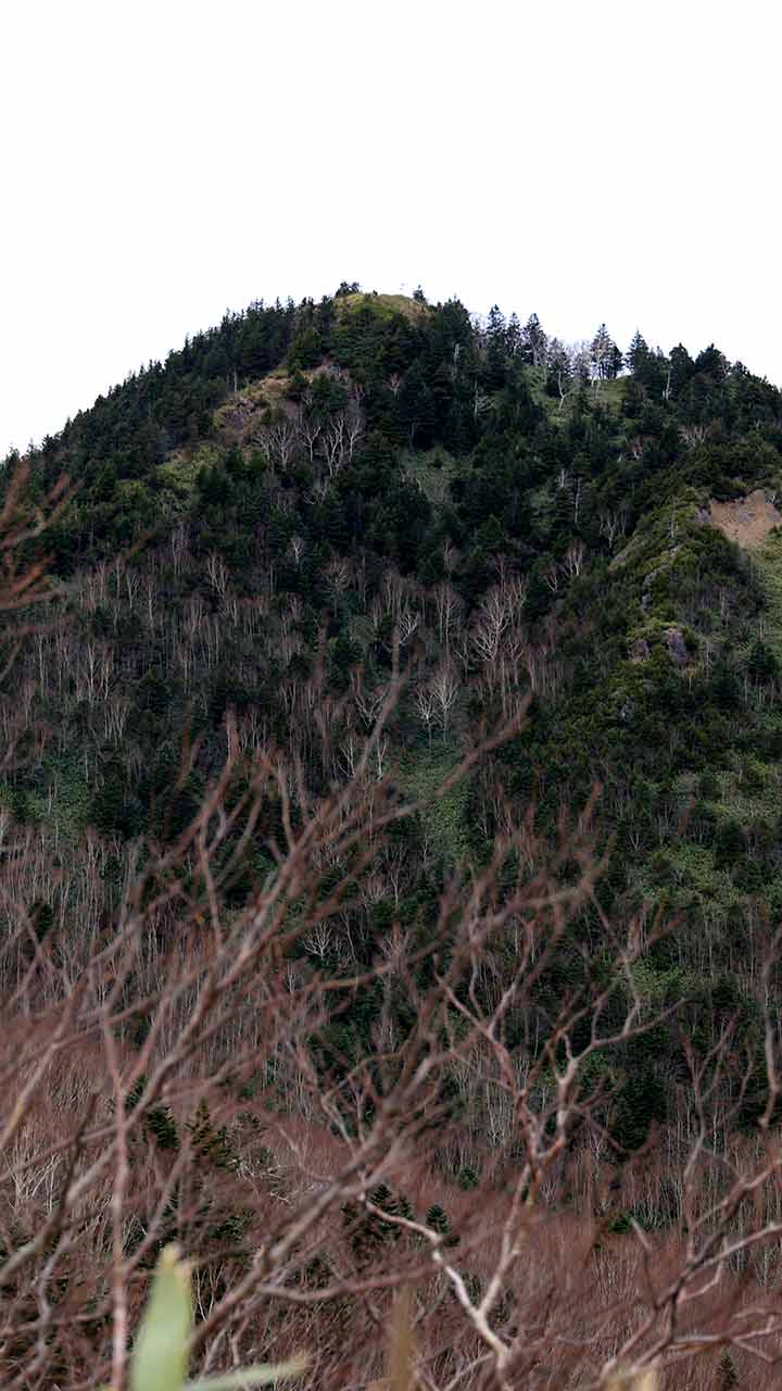 老ノ倉山 （11月）｜山頂まですぐに着ける眺望の山