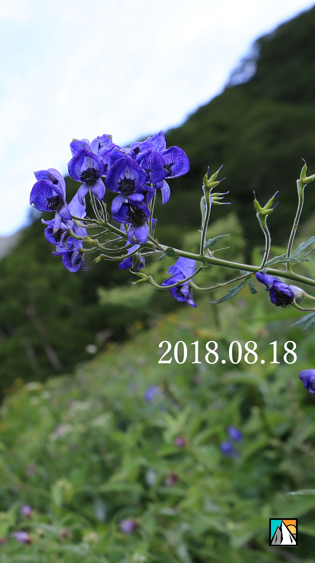 奥穂高岳 岳沢