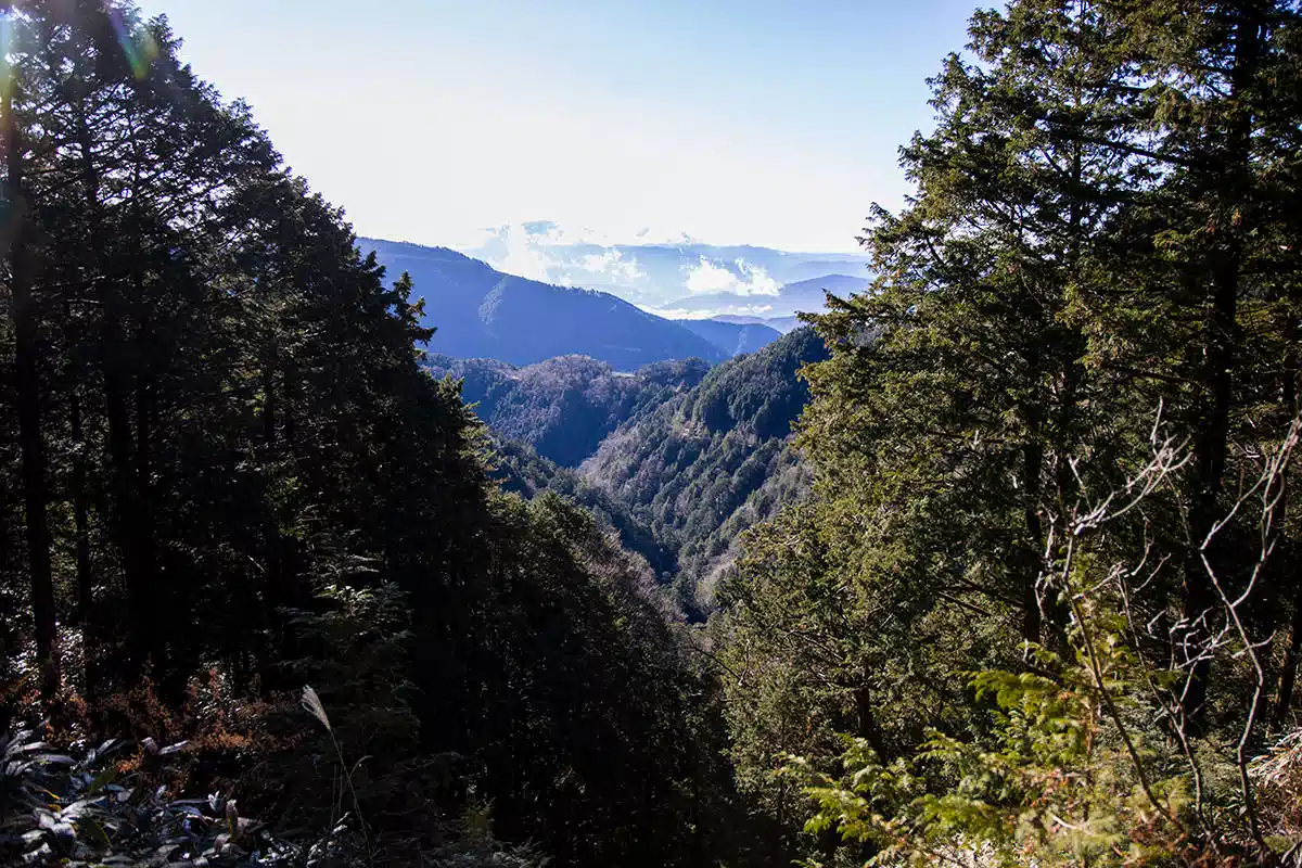 【奥三界岳登山】奥三界岳-歩いてきた林道が見える