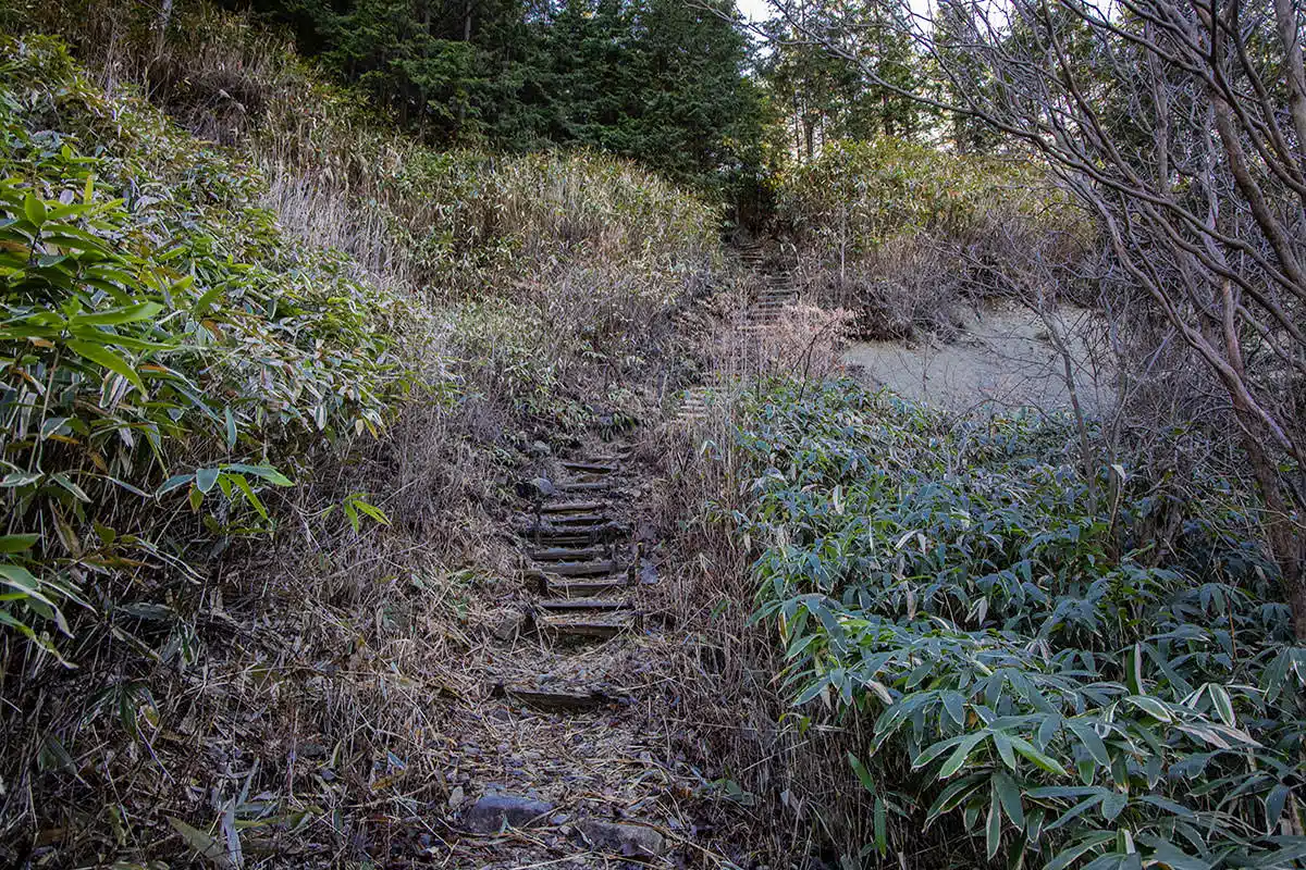 【奥三界岳登山】奥三界岳-作業小屋の裏から階段を登る