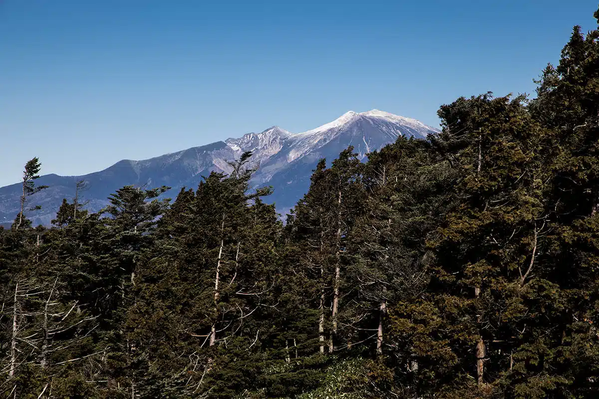 【奥三界岳登山】奥三界岳-北側の奥に見える御嶽山は山頂部が白かった