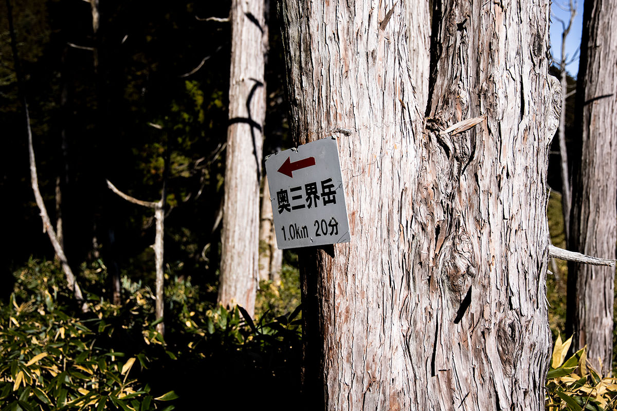 奥三界岳登山 あと10分か
