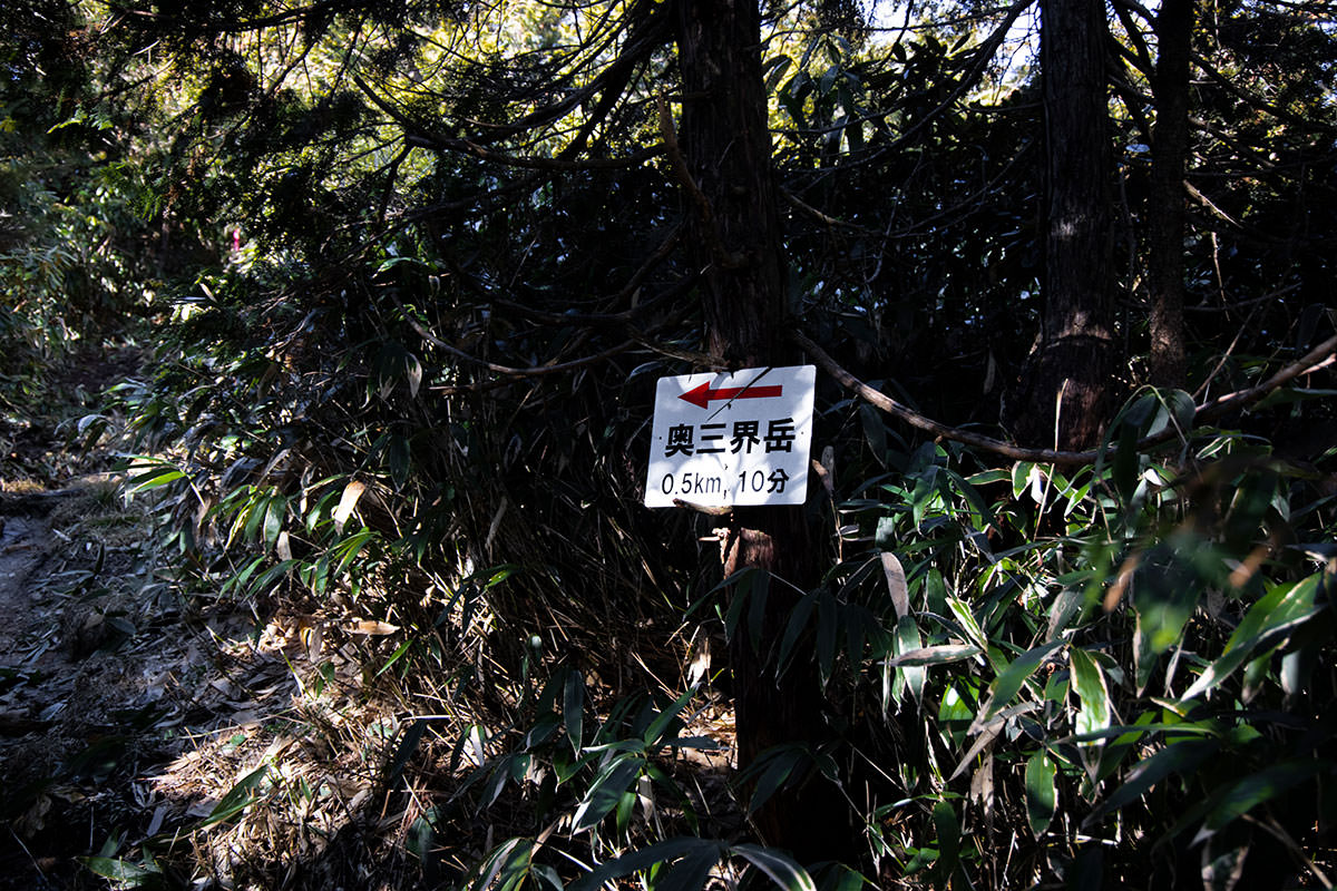 奥三界岳登山 500m進んだはずなのに時間が同じ
