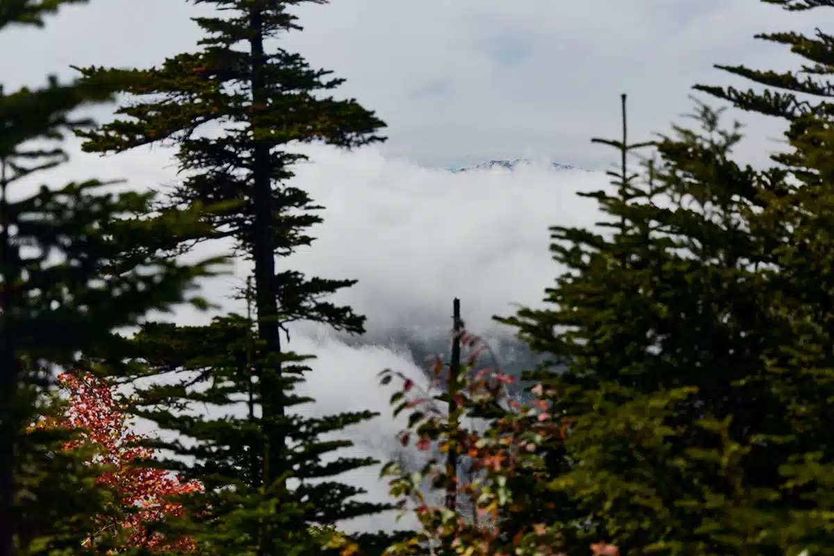 御飯岳登山 御飯岳-破風岳は完全に雲の中