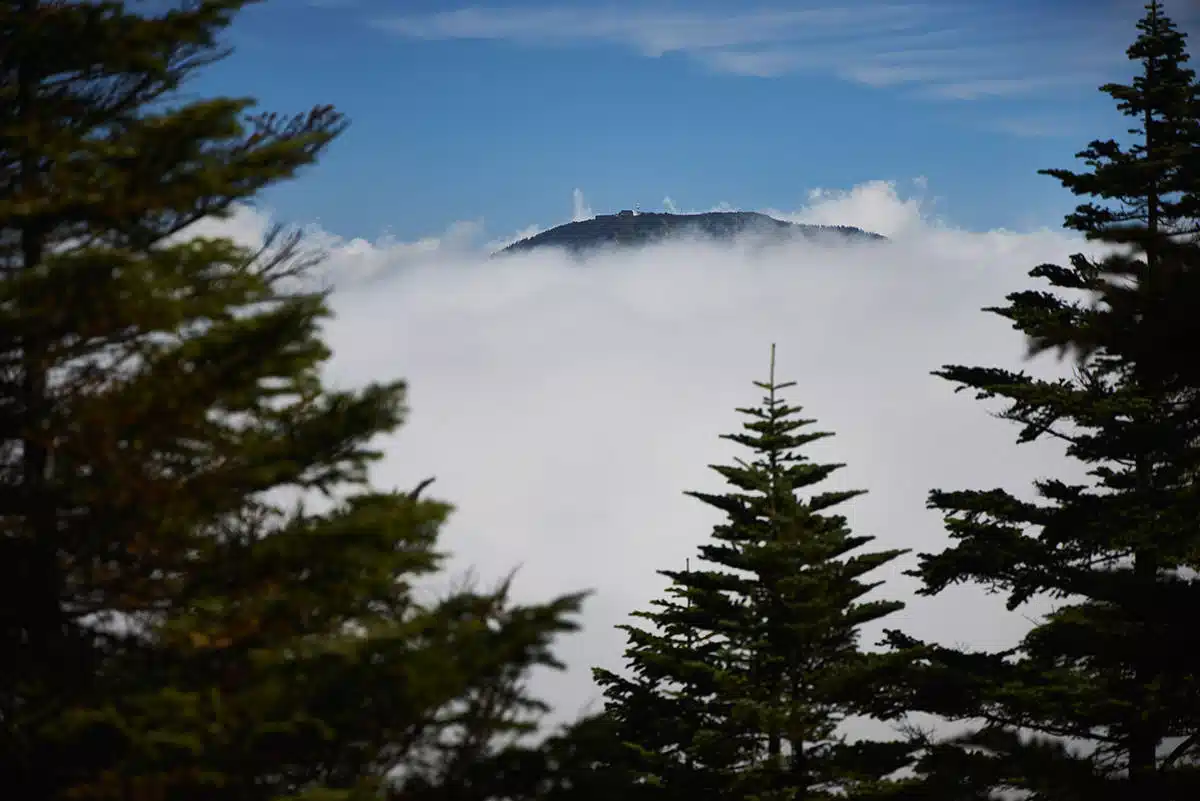 御飯岳登山 御飯岳-横手山は雲の上