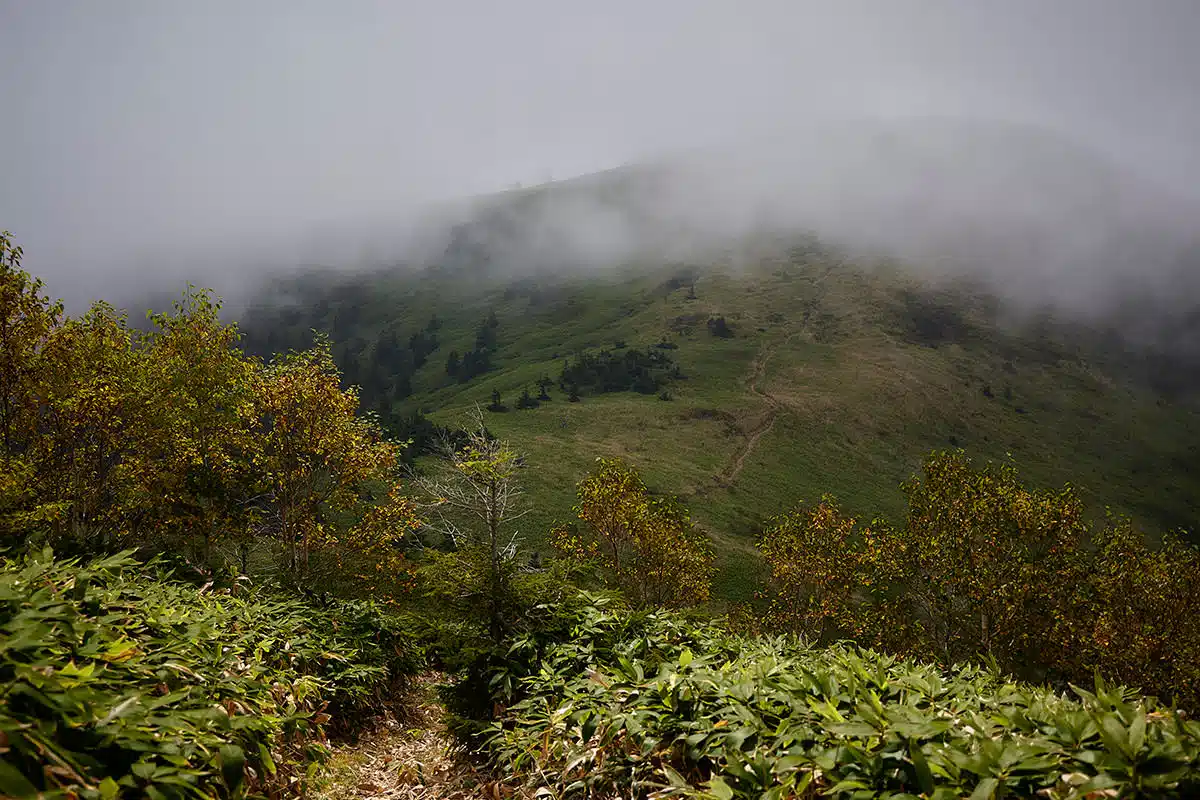 御飯岳登山 御飯岳-あの霧の中に毛無山がある