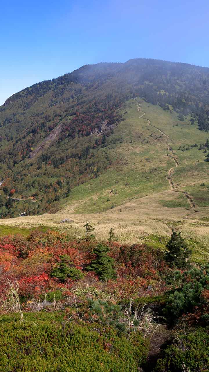 紅葉の毛無峠 （9月）｜破風岳の紅葉を振り返りながら御飯岳登山