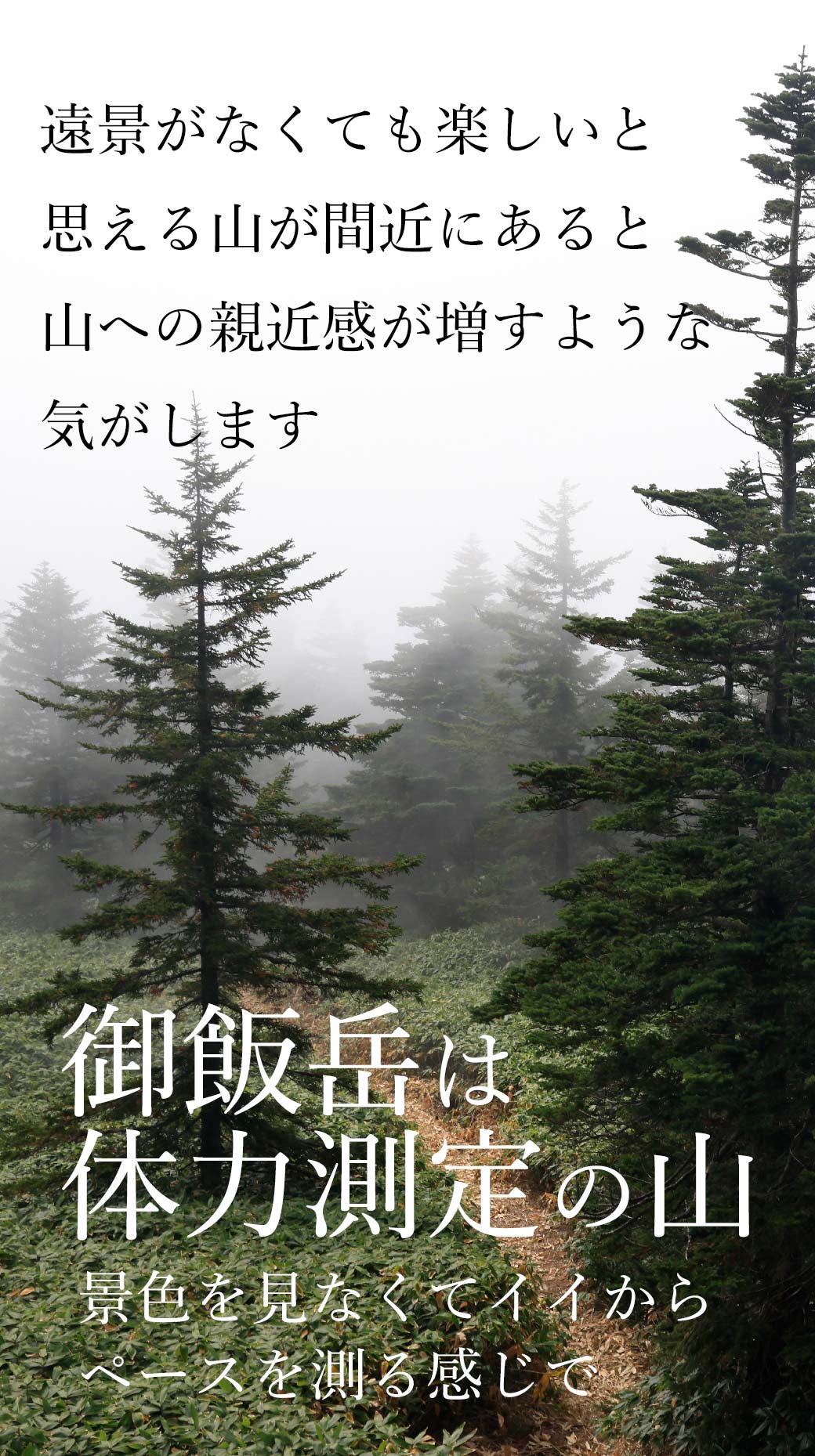 御飯岳 毛無峠