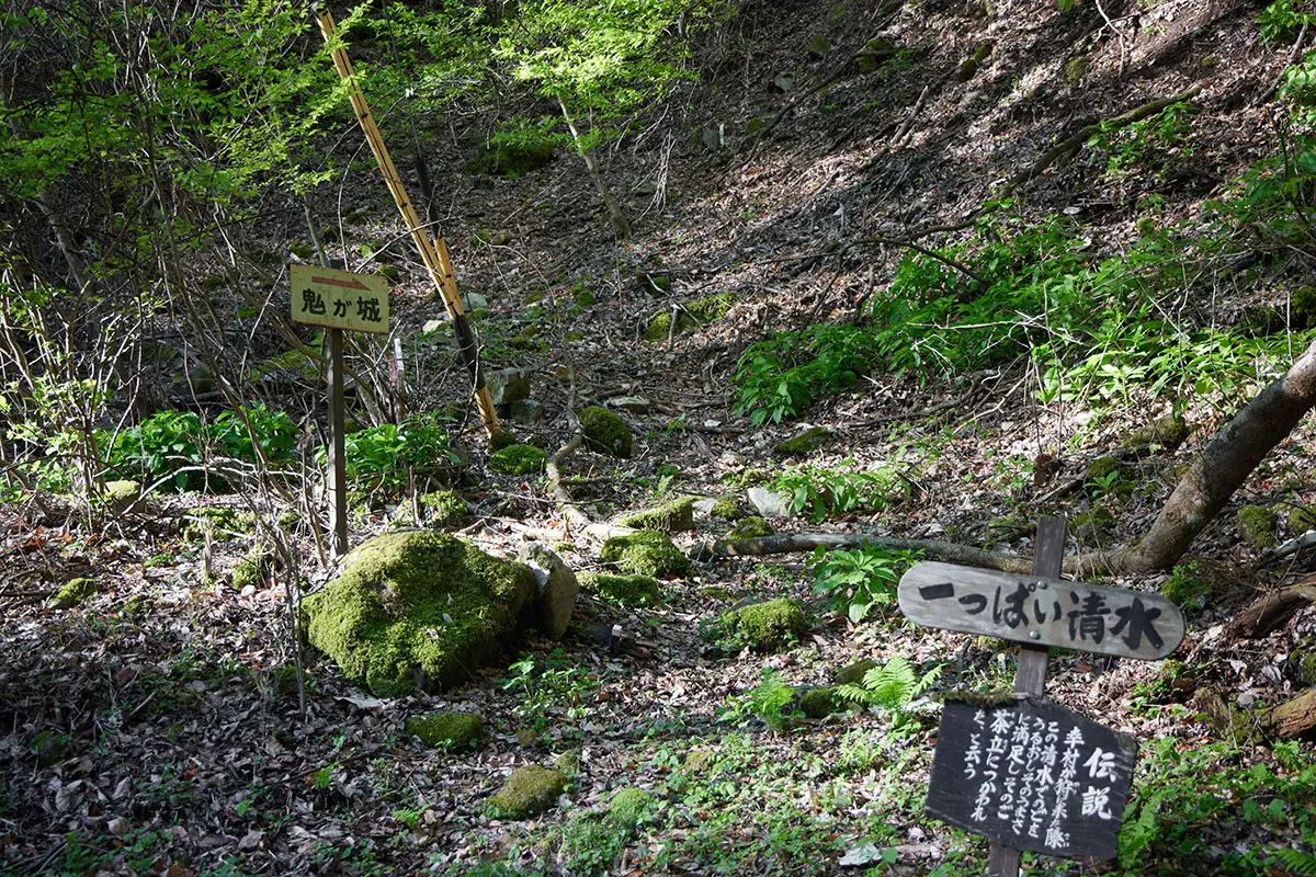 鬼ヶ城登山 一っぱい清水が湧いている