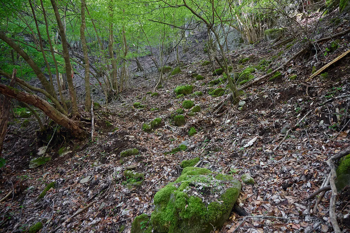 鬼ヶ城登山 落葉がいっぱいの登山道