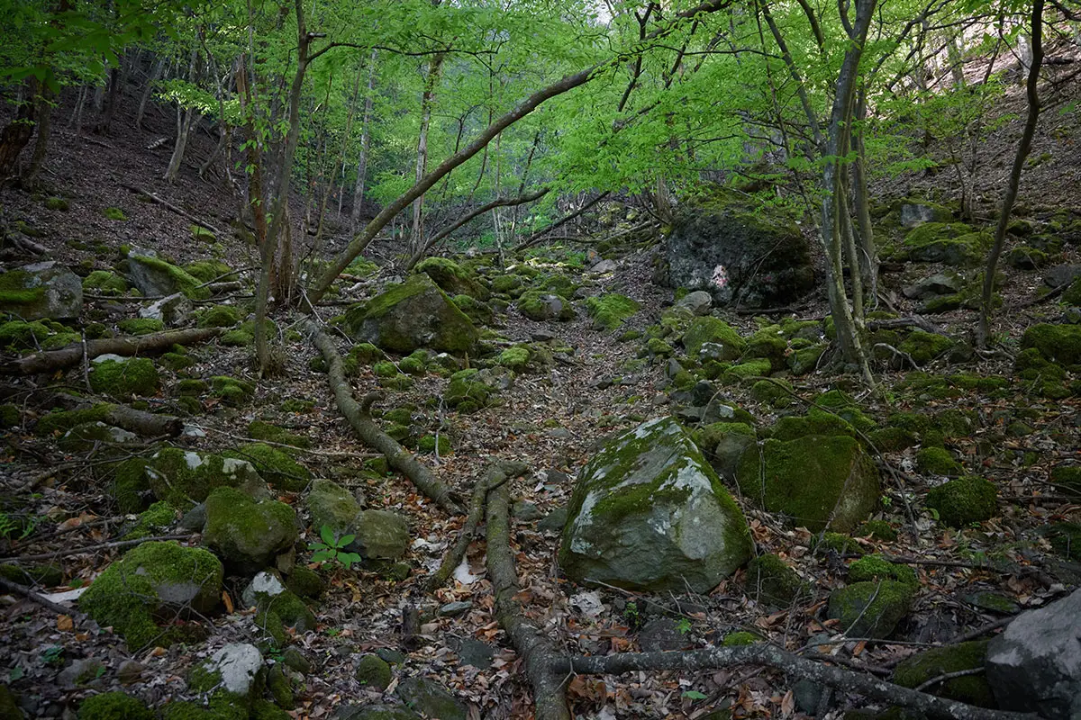 鬼ヶ城登山 深い落葉と石がいっぱい