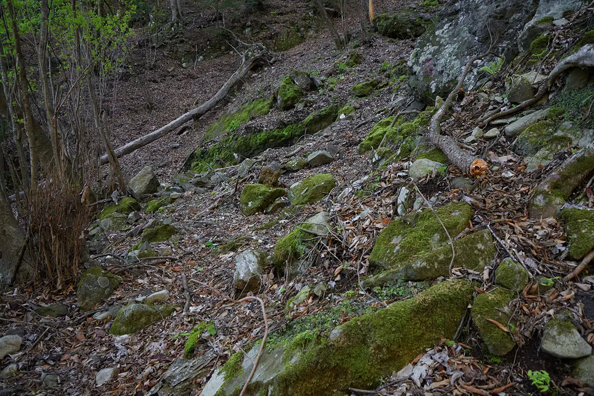 鬼ヶ城登山 土は埋まるし落葉は段差が見えないし石は転がるし