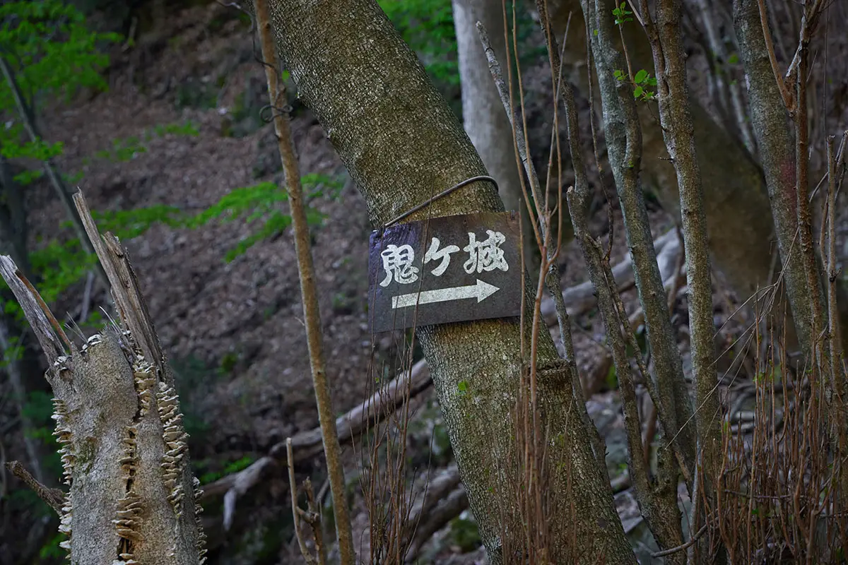 鬼ヶ城登山 行く先は丁寧に教えてくれる