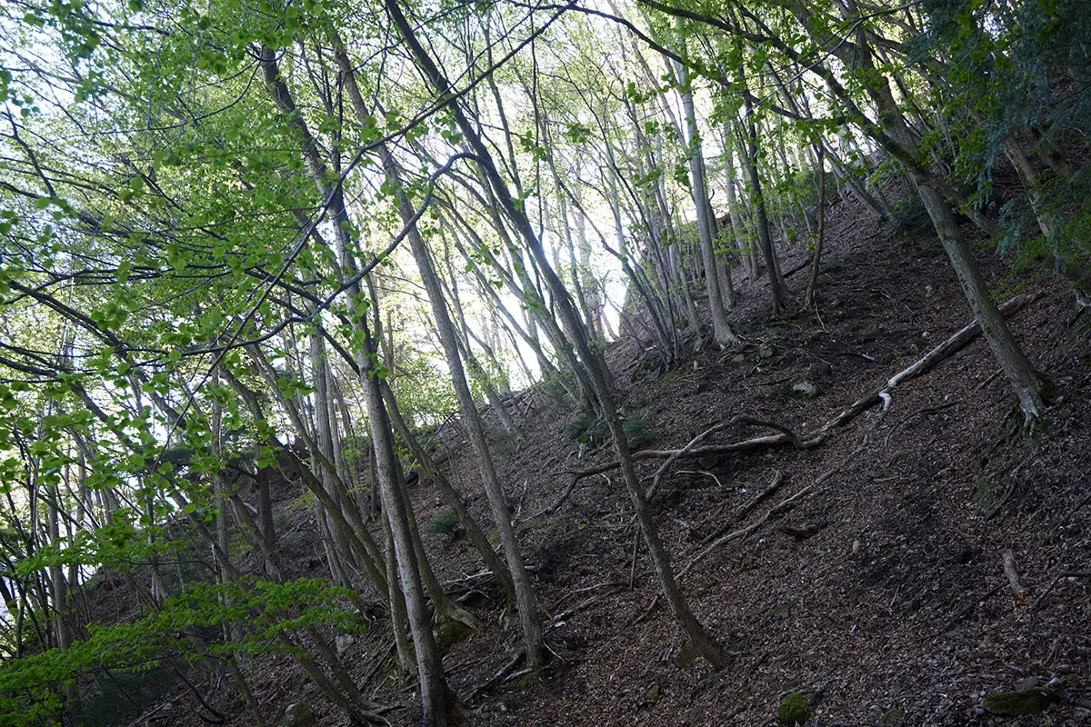 鬼ヶ城登山 斜面を横切って尾根に登る