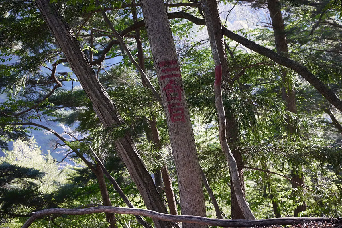 鬼ヶ城登山 三合目に到着