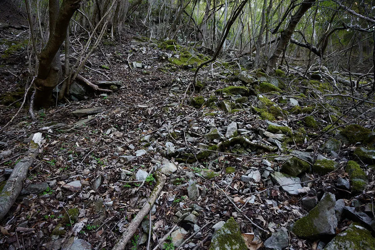鬼ヶ城登山 さらに枯れ枝もいっぱい落ちている